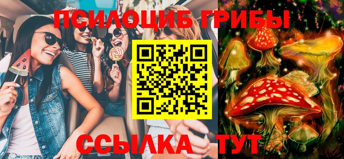 Галлюциногенные грибы GOLDEN TEACHER  Галлюциногенные грибы Magic Shrooms  Арсеньев  Вход с VPN 
